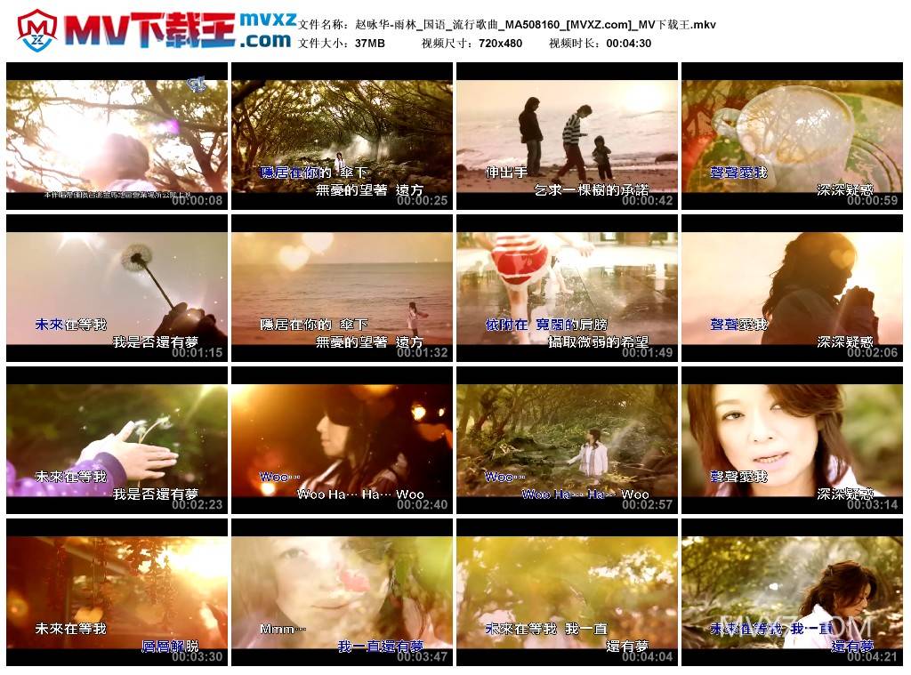 赵咏华-雨林_国语_流行歌曲_MA508160